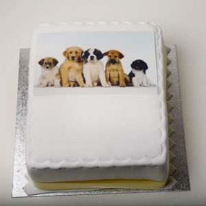 Dog themed celebration birthday cake by Quigleys cafe bakery and deli