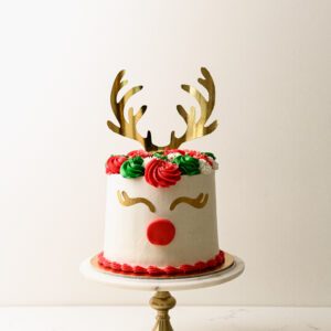Christmas Rudolph Cake